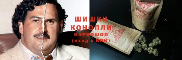 apvp Снежногорск