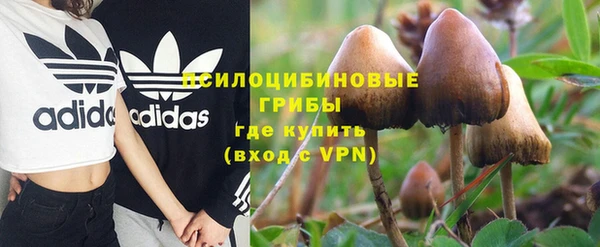 a pvp Снежинск