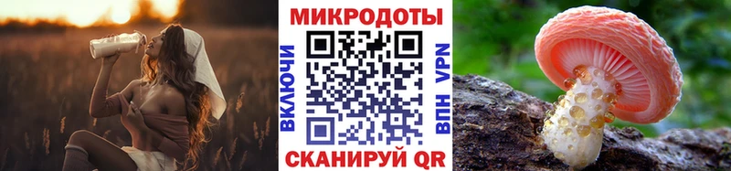 Псилоцибиновые грибы Psilocybe  Нижняя Салда 